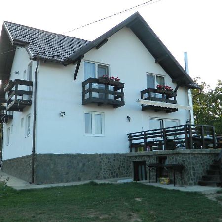Elder Villa Törcsvár Kültér fotó