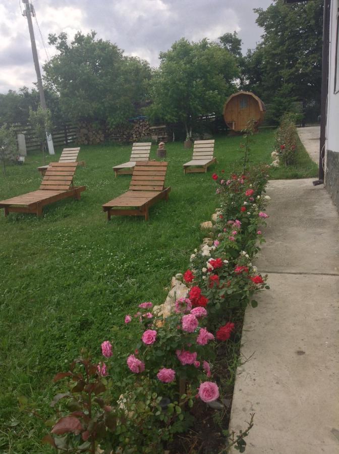 Elder Villa Törcsvár Kültér fotó