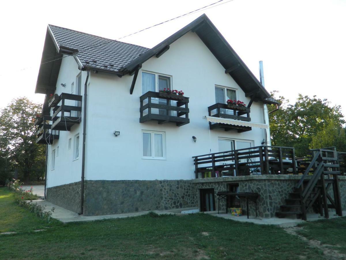 Elder Villa Törcsvár Kültér fotó