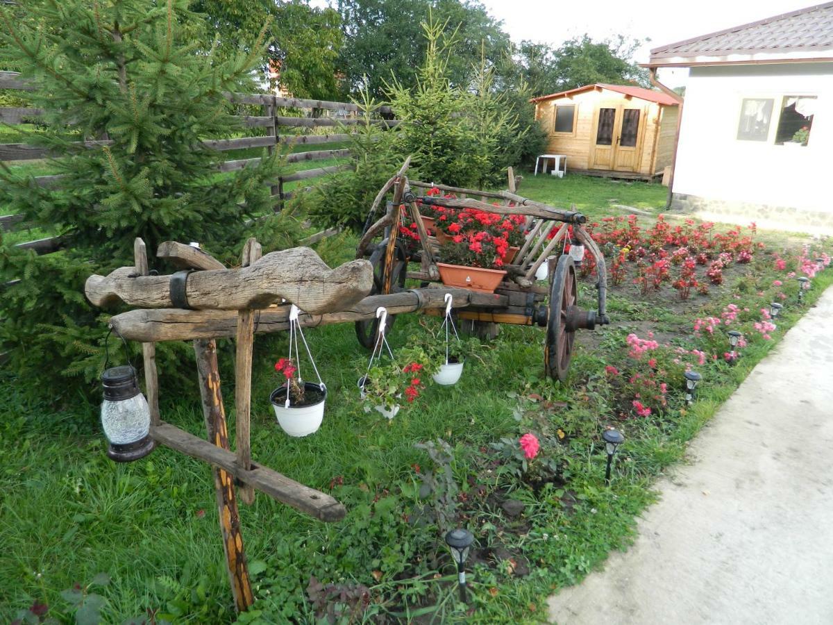 Elder Villa Törcsvár Kültér fotó